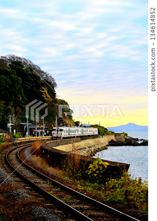 Japanese silver grass and two stars on the Omura Line 134614852