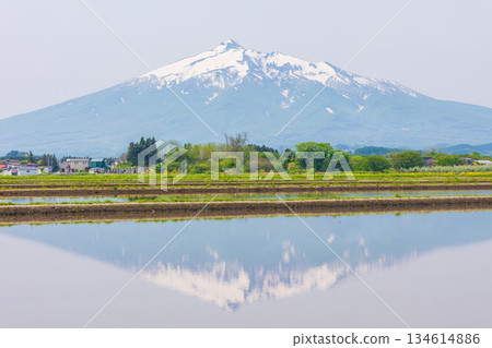 青森縣鶴田町的春天-日本百座名山之一的岩木山(津輕富士) 青森縣鶴田町的春天-日本百座名山之一的岩木山(津輕富士) 134614886