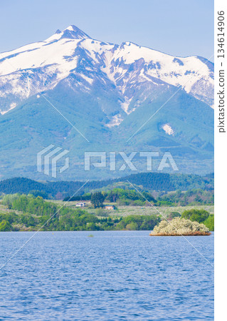 青森縣鶴田町的春天：岩木山和津輕富士見湖 134614906