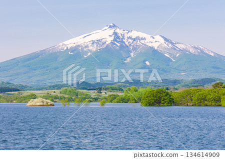 Spring in Tsuruta Town, Aomori Prefecture: Mount Iwaki and Lake Tsugaru Fujimi 134614909