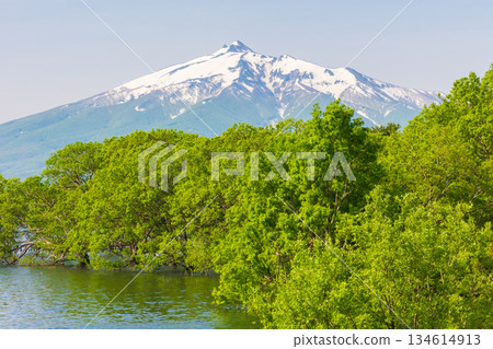 Spring in Tsuruta Town, Aomori Prefecture: Mount Iwaki and the submerged forest of Lake Tsugaru Fujimi Spring in Tsuruta Town, Aomori Prefecture: Mount Iwaki and the submerged forest of Lake Tsugaru Fujimi 134614913