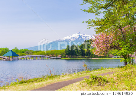 Spring in Tsuruta Town, Aomori Prefecture: Tsuru-no-mai Bridge and Mount Iwaki Spring in Tsuruta Town, Aomori Prefecture: Tsuru-no-mai Bridge and Mount Iwaki 134614920