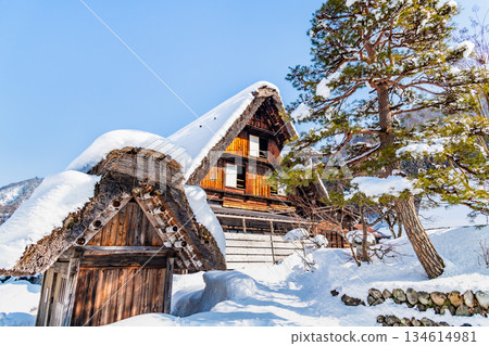 晴朗雪天的白川鄉 134614981