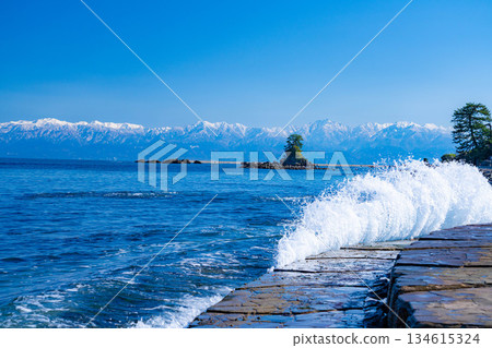 [A winter tradition] A clear winter day on Amaharashi Coast and the snow-capped Tateyama mountain range [Toyama Prefecture] 134615324