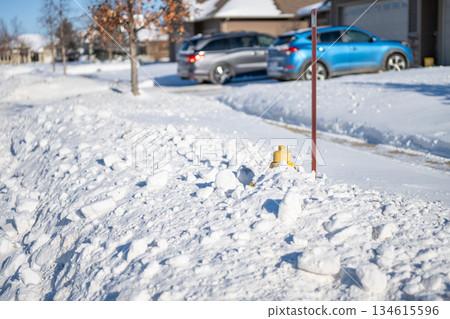 Snow covers fire hydrant next to parked cars in residential area during winter day in suburban neighborhood 134615596
