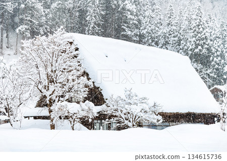 雪白川鄉 134615736