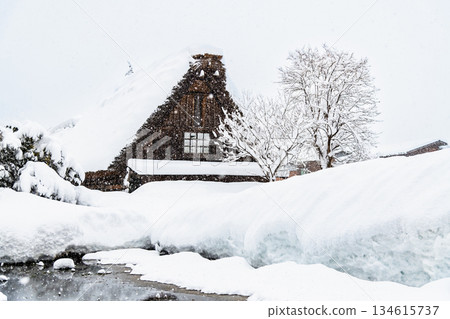 雪白川鄉 134615737