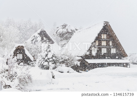 Snow Shirakawa Town 134615739
