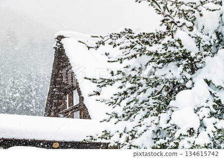 Snow Shirakawa Town Snow Shirakawa Town 134615742