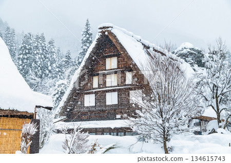 雪白川鄉 134615743