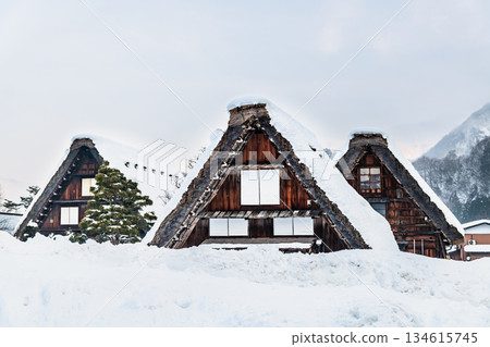 雪白川鄉 134615745