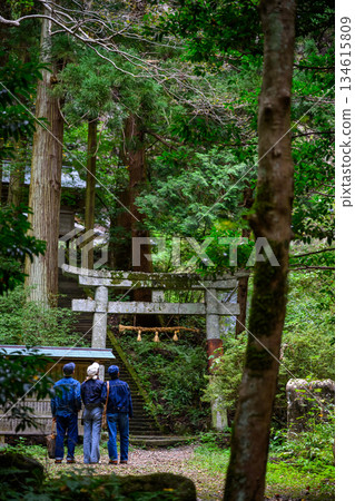 三個人正攀登著森林裡的石階。 134615809