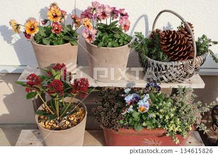 Winter flower arrangements around the entrance Winter flower arrangements around the entrance 134615826