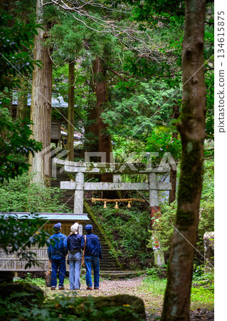 通往森林神龕的石階 134615875