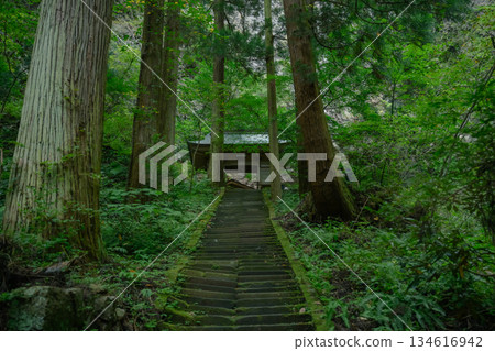 長滿青苔的石階和神龕 134616942