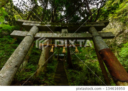 Moss-covered stone torii gate and stone steps Moss-covered stone torii gate and stone steps 134616950