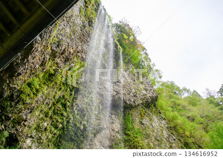 Dangyo Falls, Oki Island 134616952