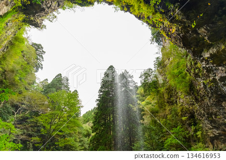 瀑布和綠植在峽谷中閃耀 134616953