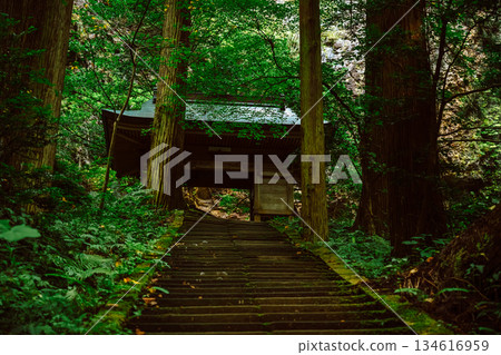 Moss-covered stone steps and a shrine [Okinoshima Chamber of Commerce] 134616959