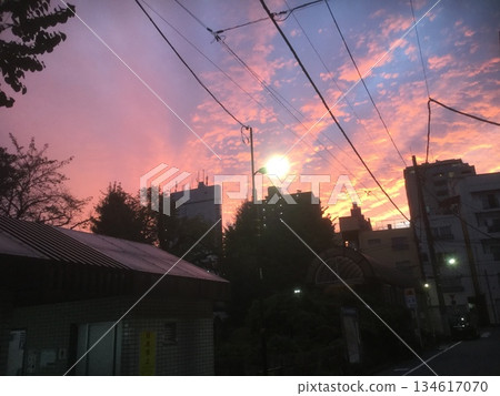 Autumn: Crimson Tokyo Autumn: Crimson Tokyo 134617070