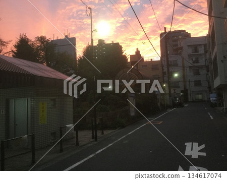 秋季:緋紅東京 秋季:緋紅東京 134617074