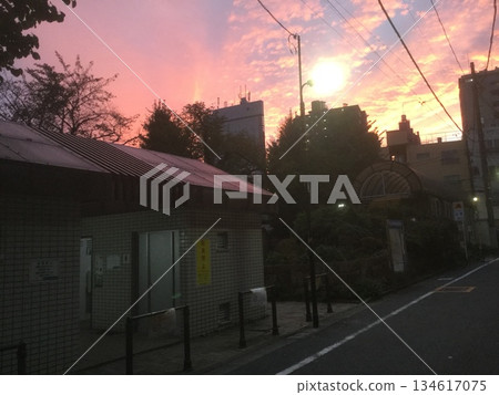 Autumn: Crimson Tokyo Autumn: Crimson Tokyo 134617075