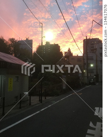 秋季:緋紅東京 秋季:緋紅東京 134617076
