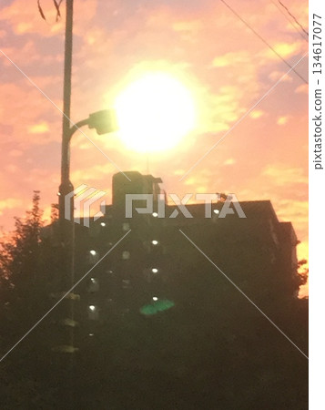 秋季:緋紅東京 秋季:緋紅東京 134617077