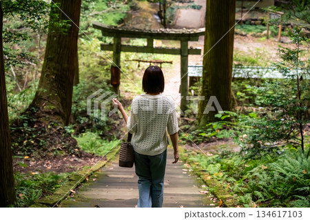 A woman goes to the shrine A woman goes to the shrine 134617103