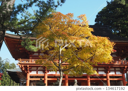 高野山的 javascript:void(0) 內門和黃葉 134617192