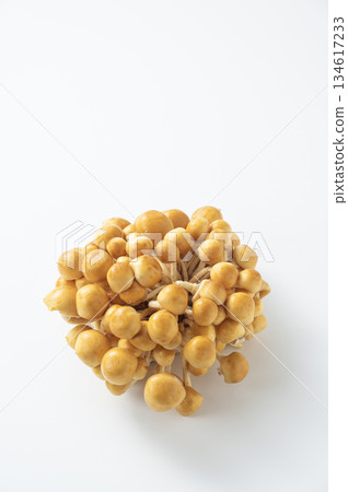 Share Nawko 134617233