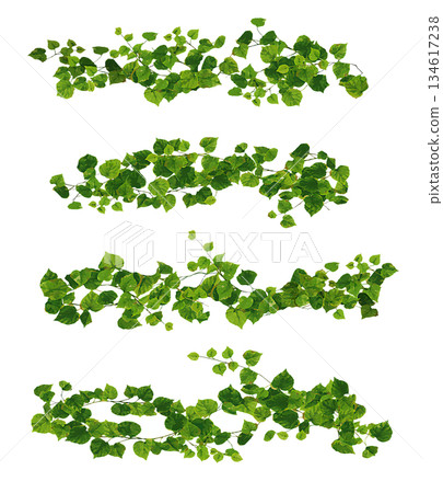 Vine decorative parts set C Vine decorative parts set C 134617238