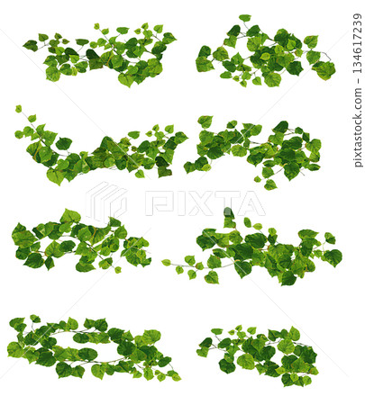 Vine decorative parts set D Vine decorative parts set D 134617239
