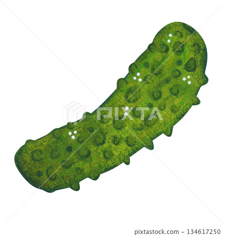 Green cucumber. Hand-drawn watercolor illustration, cartoon. Design for cards, invitations, prints on paper or textiles. Holiday, treat, vegetable Green cucumber. Hand-drawn watercolor illustration, cartoon. Design for cards, invitations, prints on paper or textiles. Holiday, treat, vegetable 134617250