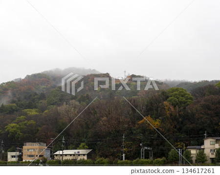 Satsukiyama in the rainy winter 134617261