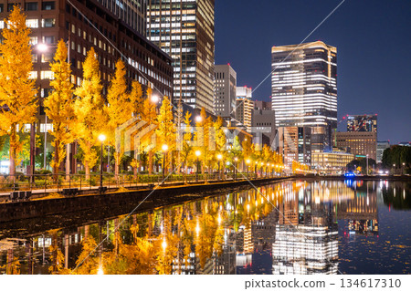 Tokyo: The night view of Marunouchi reflected in the moat Tokyo: The night view of Marunouchi reflected in the moat 134617310