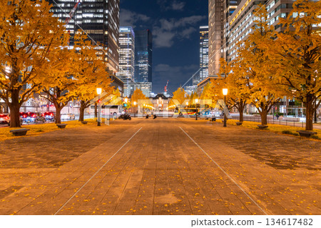 Tokyo Station Gyoko-dori Street and the night view of yellow leaves 134617482