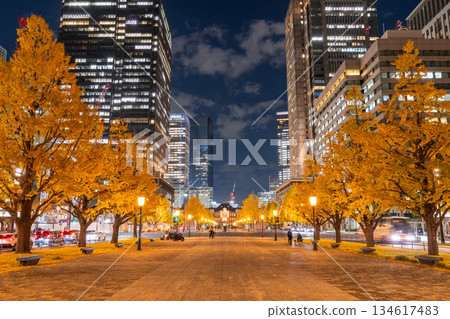 Tokyo Station Gyoko-dori Street and the night view of yellow leaves 134617483