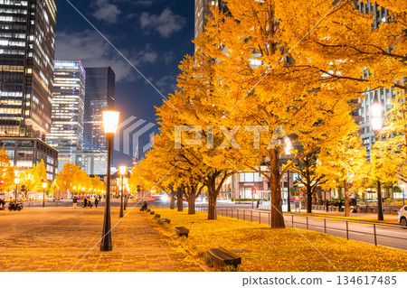 東京車站魚行通街和夜色中的黃葉 134617485