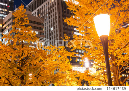Tokyo Station Gyoko-dori Street and the night view of yellow leaves 134617489