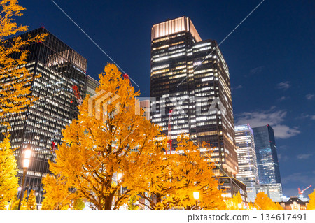 Tokyo Station Gyoko-dori Street and the night view of yellow leaves 134617491
