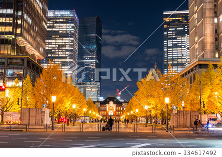東京車站魚行通街和夜色中的黃葉 東京車站魚行通街和夜色中的黃葉 134617492