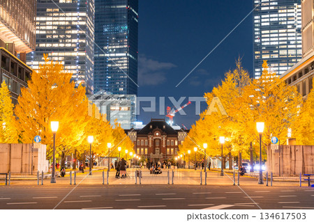 Tokyo Station Gyoko-dori Street and the night view of yellow leaves 134617503