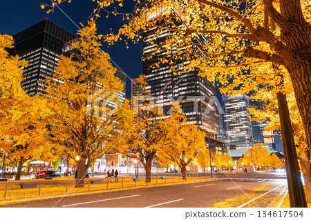 Tokyo Station Gyoko-dori Street and the night view of yellow leaves Tokyo Station Gyoko-dori Street and the night view of yellow leaves 134617504