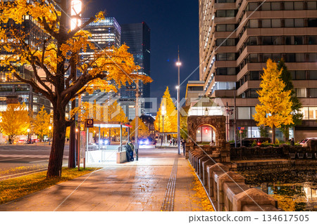 Tokyo Station Gyoko-dori Street and the night view of yellow leaves Tokyo Station Gyoko-dori Street and the night view of yellow leaves 134617505