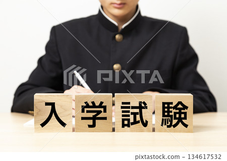 一塊寫著「入學考試」的磚塊和一個男學生 一塊寫著「入學考試」的磚塊和一個男學生 134617532