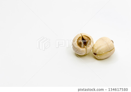 蓮子，蓮子，蓮子 134617580