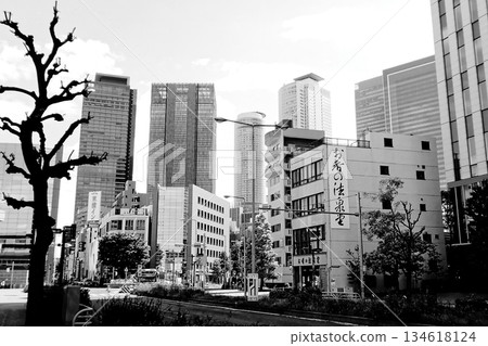 A transforming city: Nagoya Station A transforming city: Nagoya Station 134618124