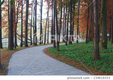 秋日林間石板路 秋日林間石板路 134618355
