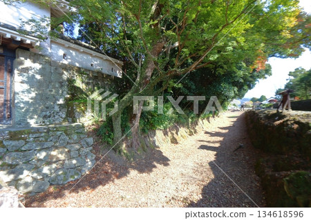 帶尾城（宮崎縣日南市）正門旁的乾涸護城河 134618596